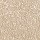 Aladdin Carpet: Classical Design III 15' Honeywood